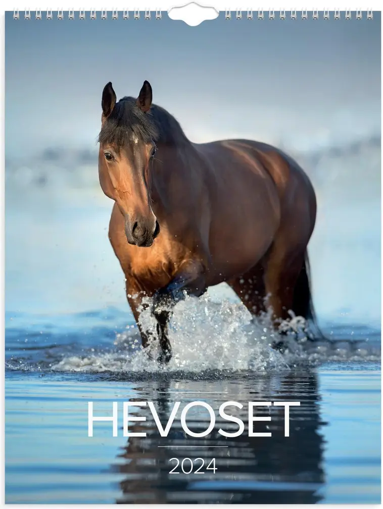 Burde seinäkalenteri 2024 Hevoset