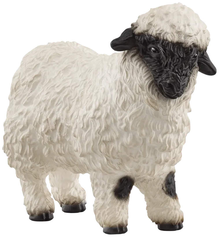 Blacknose lammas | Prisma verkkokauppa