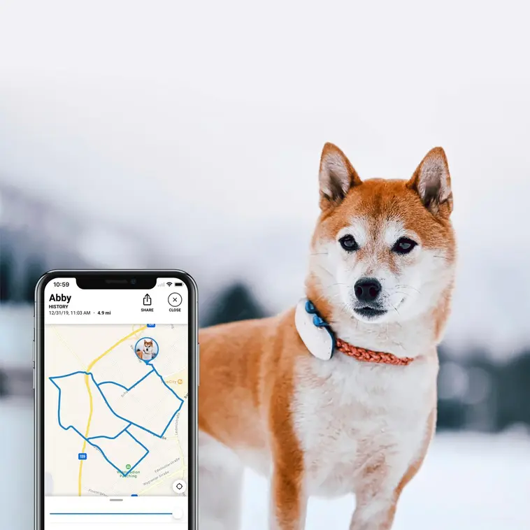 Tractive koiran GPS-paikannin LTE - 2