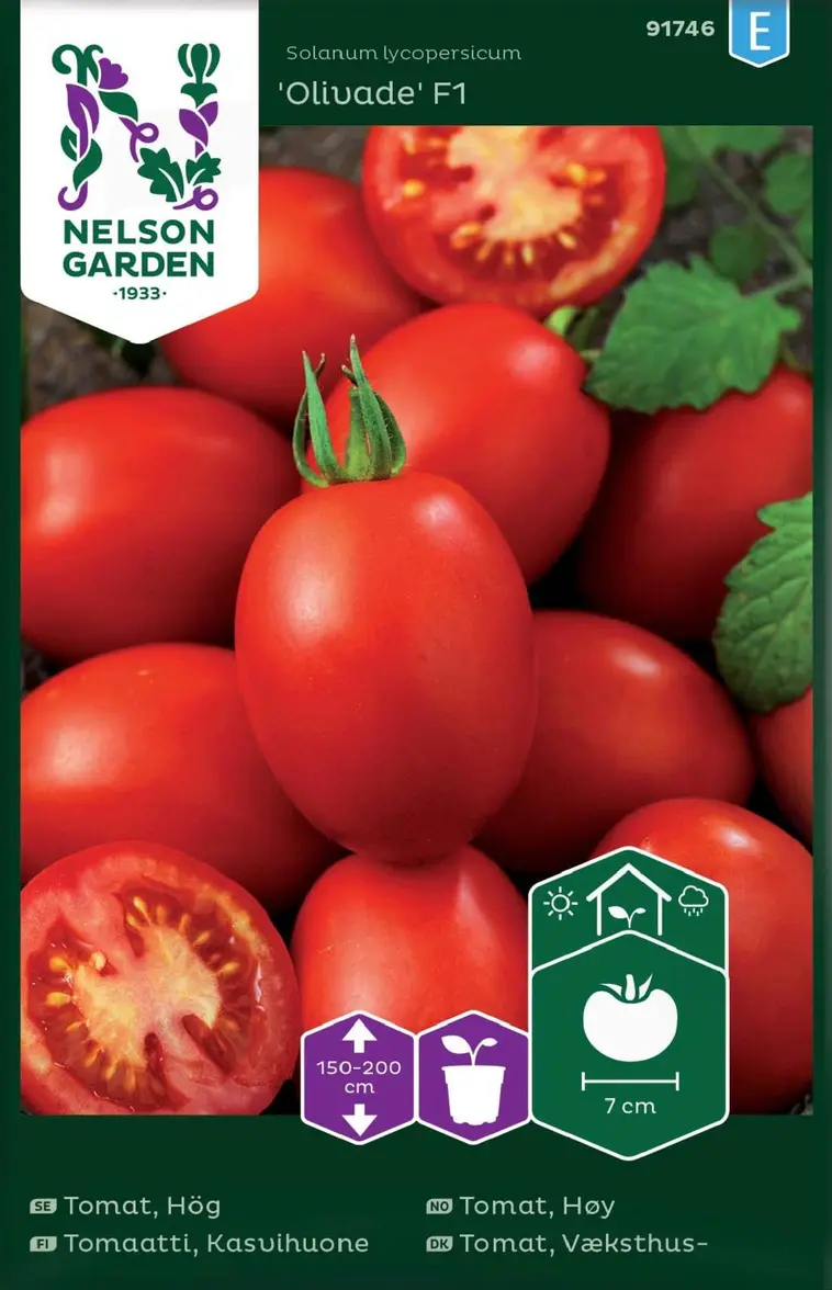 Esitellä 21+ imagen tomaatin siemenet prisma
