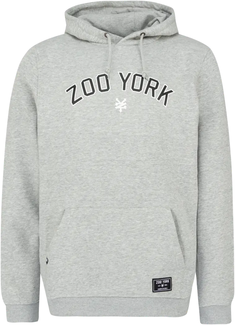 Zoo York miesten collegehuppari Gears