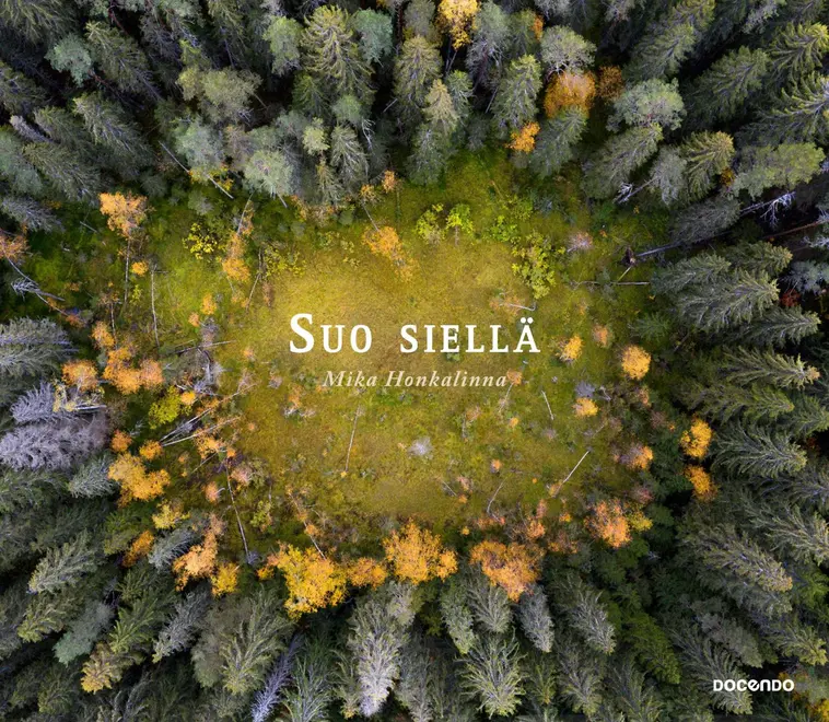 Honkalinna, Suo siellä