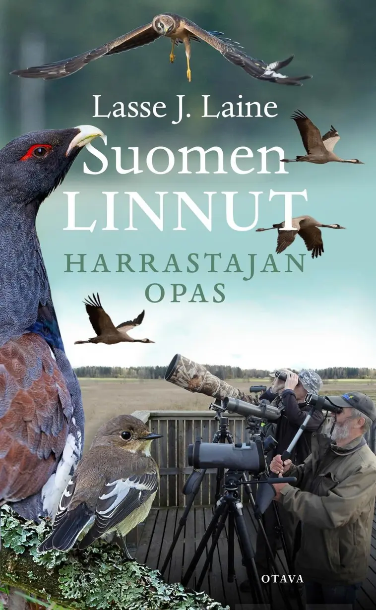 Suomen linnut | Prisma verkkokauppa