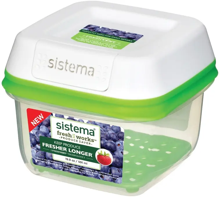 Sistema rasia FreshWorks pieni 590 ml