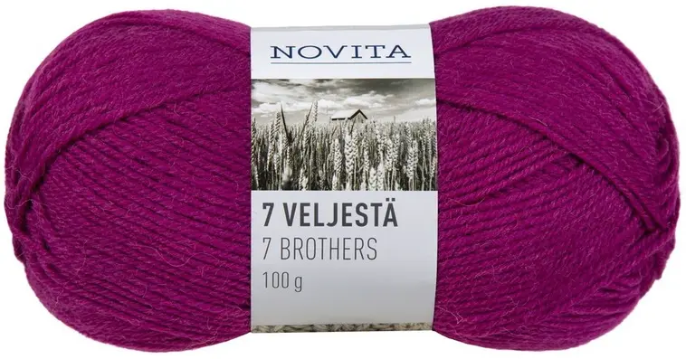 Novita 7 veljestä 100g kaunokki 563 | Prisma verkkokauppa