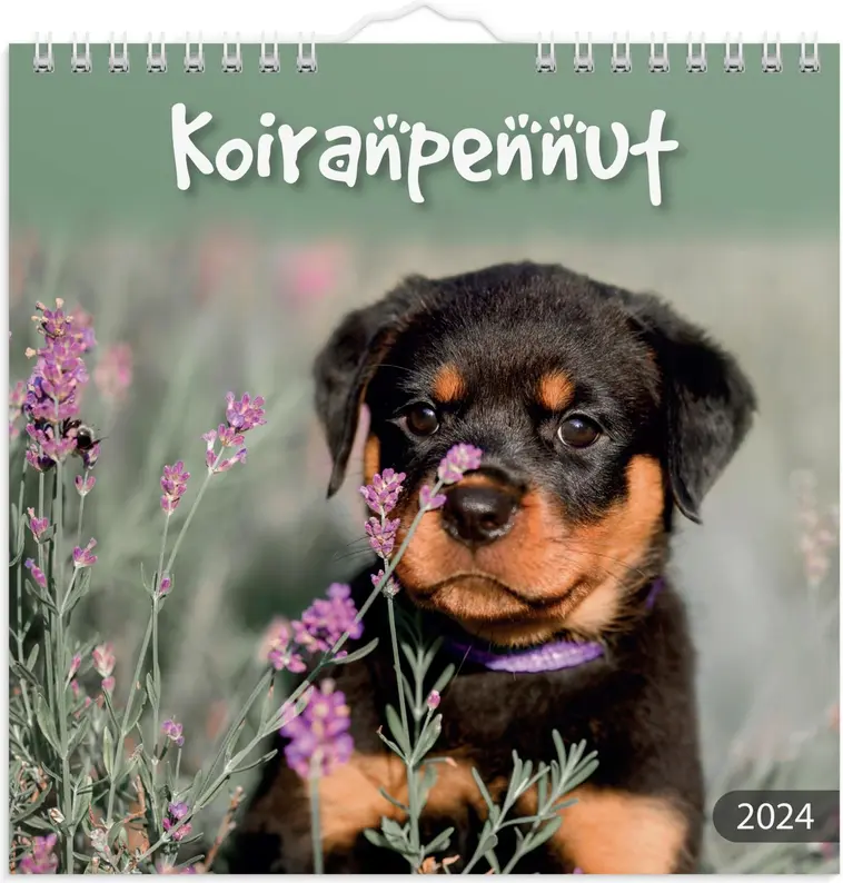 Burde seinäkalenteri 2024 Koiranpennut