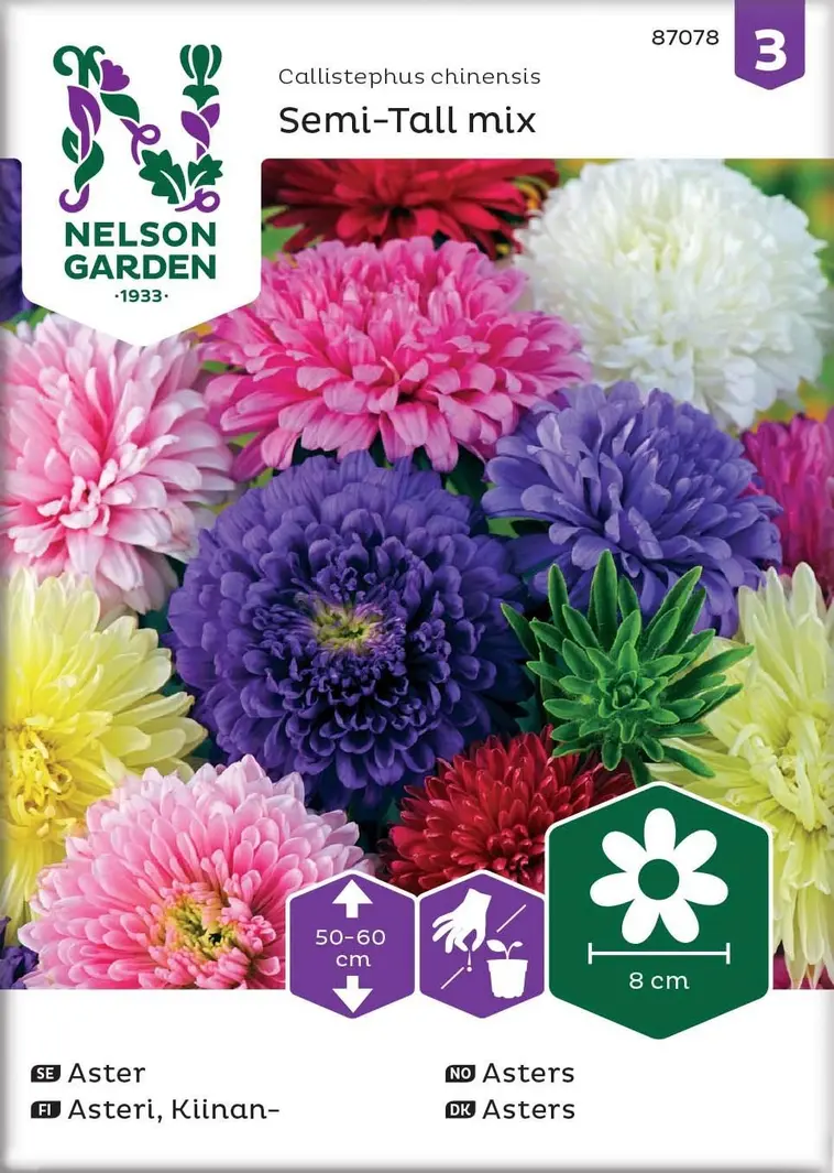 Nelson Garden Siemen Asteri, Kiinan-, Semi-Tall, väriseos | Prisma  verkkokauppa