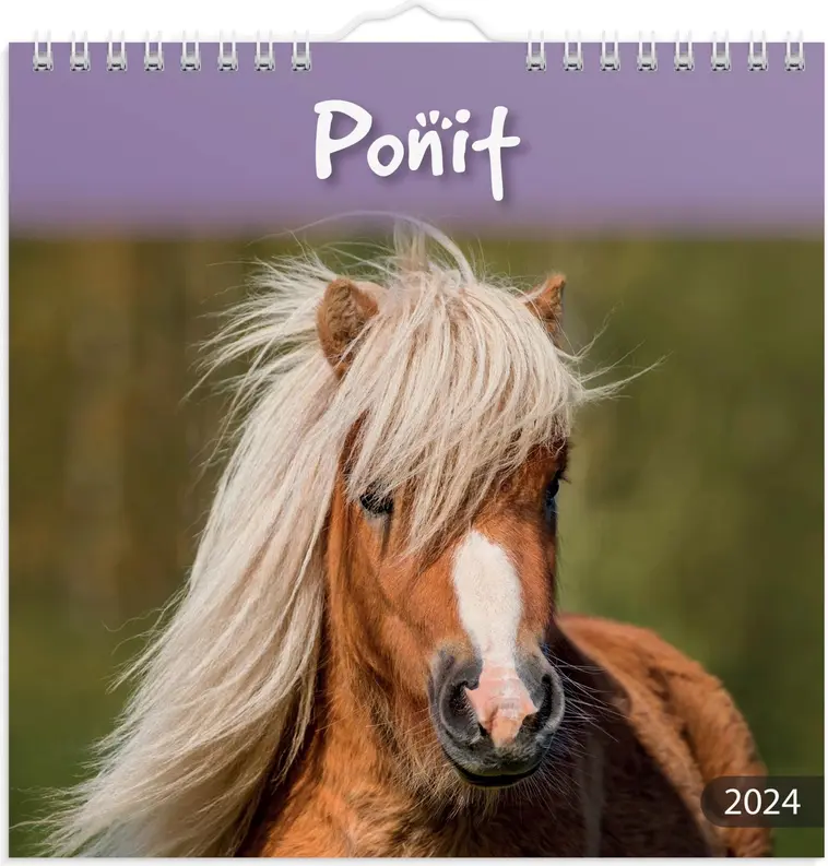 Burde seinäkalenteri 2024 Ponit