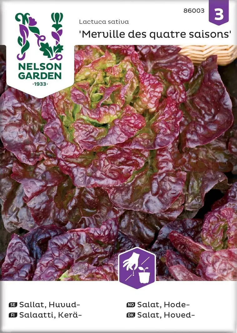 Nelson Garden Siemen Salaatti, Kerä-, Merveille des quatres | Prisma  verkkokauppa