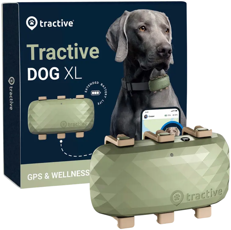 Tractive koira XL 4G GPS/aktiivisuuskaulapanta