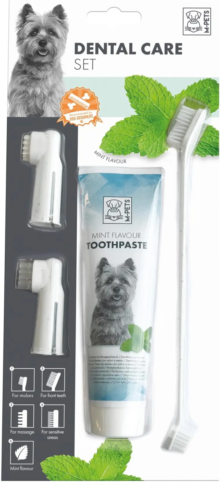 M-Pets Koiran hammashoitosetti: 1 kpl sormihammasharja, 1 kpl ikenien hierontaharja, 1 kpl kaksipäinen hammasharja ja 1 kpl hammastahna 100 g