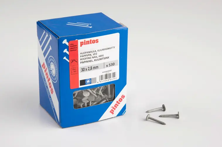 Pintos huopanaula 30x2,8mm kuumasinkitty 1kg