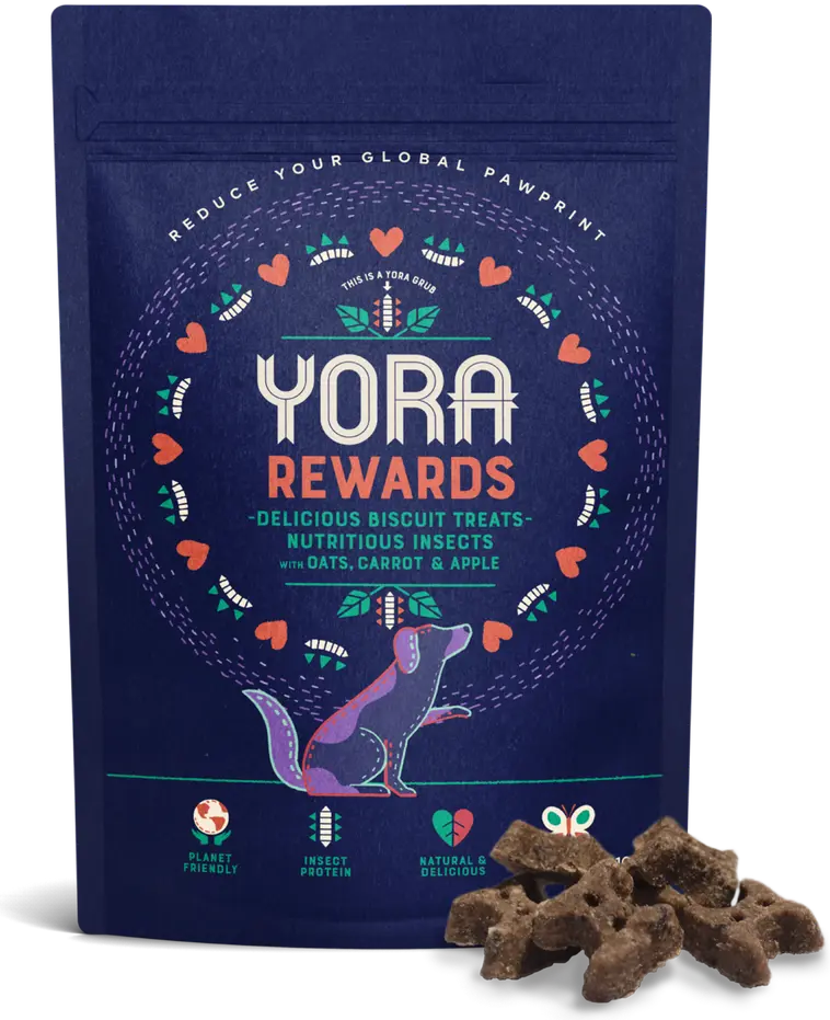 Yora Rewards-hyönteisproteiinipohjainen herkku koiralle | Prisma  verkkokauppa