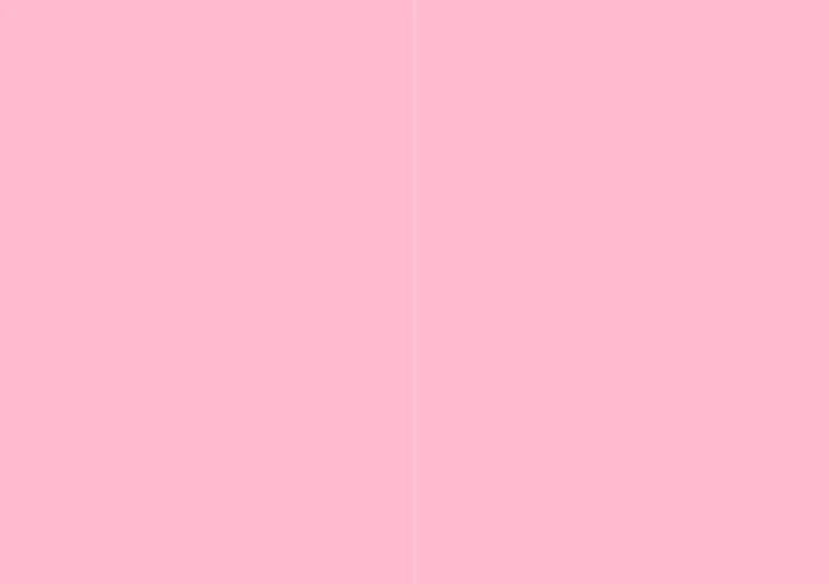 2-osainen korttipohja vaaleanpunainen 10kpl | Prisma verkkokauppa