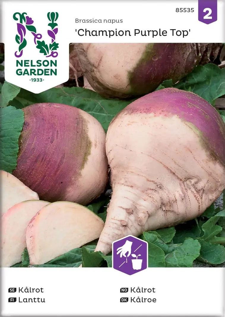 Nelson Garden Siemen Lanttu, Champion Purple Top | Prisma verkkokauppa