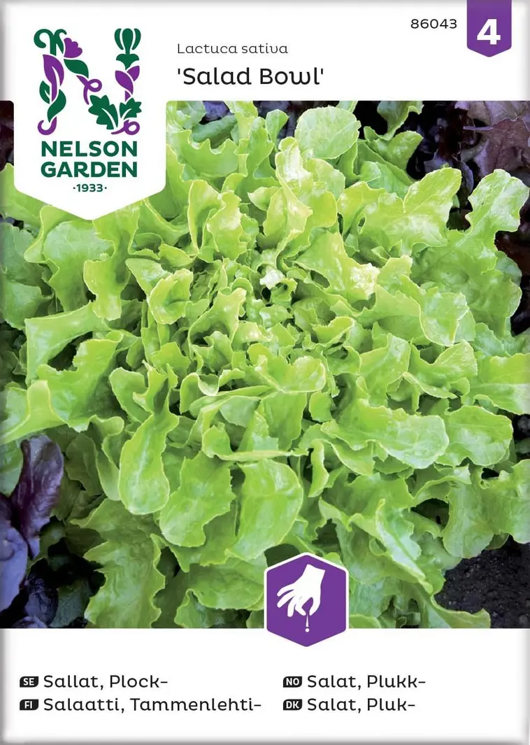 Nelson Garden Siemen Salaatti, Tammenlehti-, Salad Bowl | Prisma  verkkokauppa