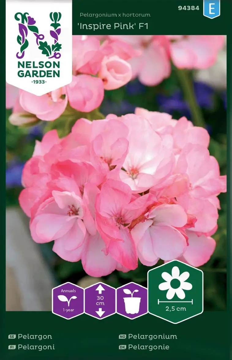 Nelson Garden Siemen Pelargoni, Inspire Pink F1