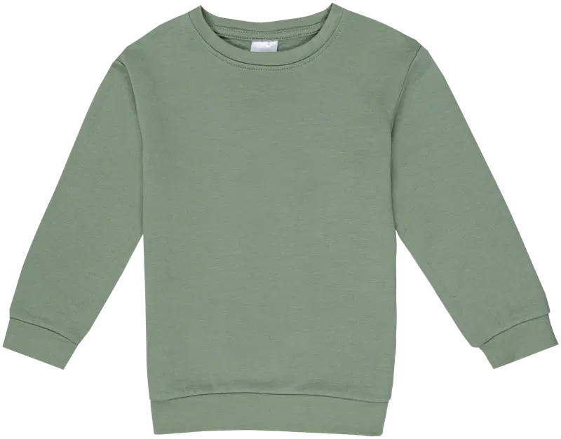 Детская толстовка Ciraf 25PC260203 (размер 92, цвет Зеленый)