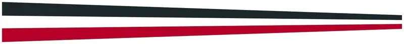 Вымпел Флагмор Центральная Финляндия 40х400 №8, ткань