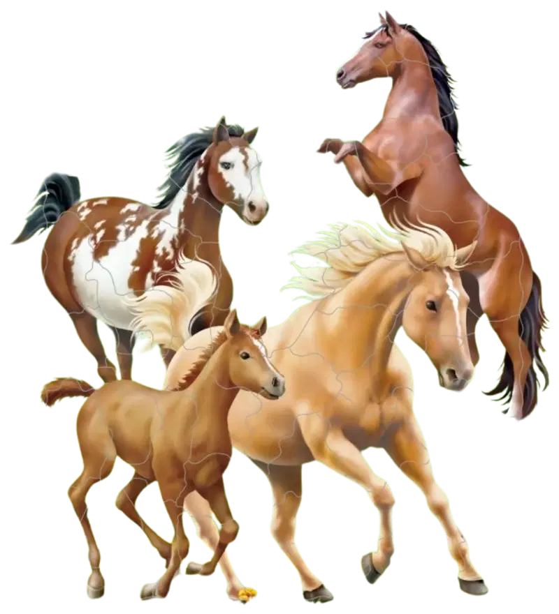 Пазл Ларсена Horses Maxi 65 возвращается