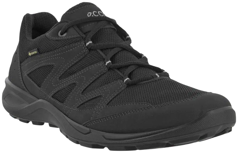 Мужская уличная обувь Ecco Terracruise LT GTX (размер 40, цвет Черный/черный)