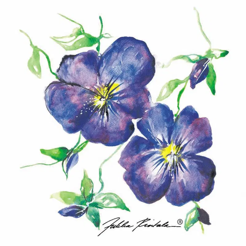 DESIGNS FOR DUNI Салфетки тканевые 24 x 24 см Jukka Rintala Viola 3-слойные, 20 шт.