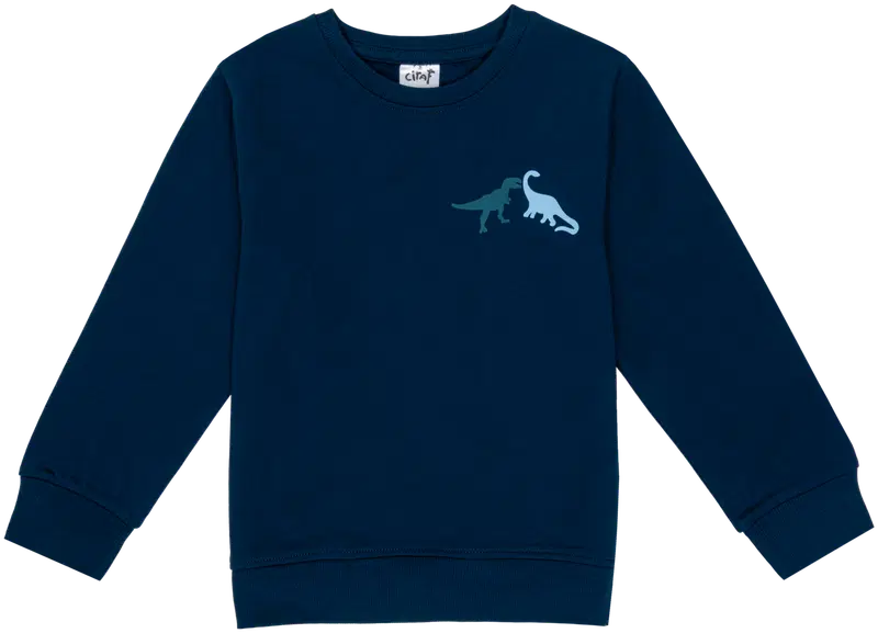Детская толстовка Ciraf dinos 25PC260217 (размер 92, цвет Титан 19-4128 Tcx)