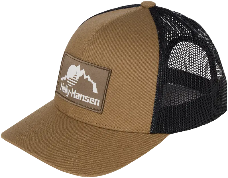 Мужская кепка Helly Hansen HH Trucker Cap 67645 (размер ОДИН РАЗМЕР, цвет вяз)