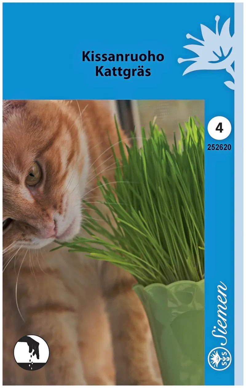 Кошачья мята Овес