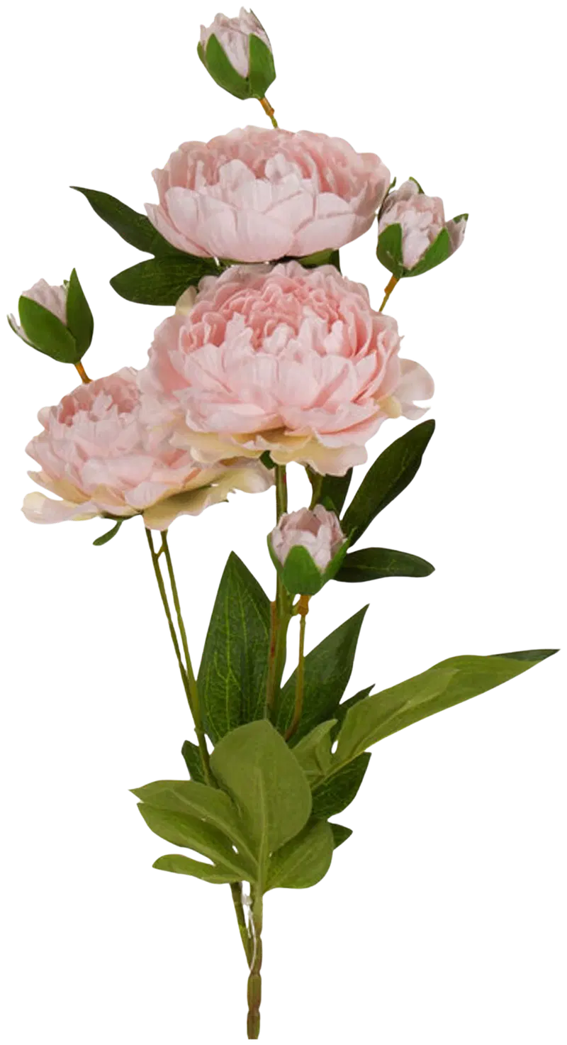 AmandaB Пион розовый 76см (цвет розовый, зеленый)
