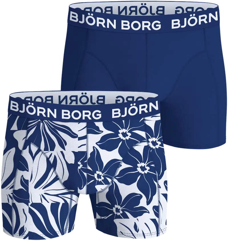 Комплект мужских боксеров Björn Borg из бамбука, 2 шт. 10005520 (размер С, цвет Мультипак 1)