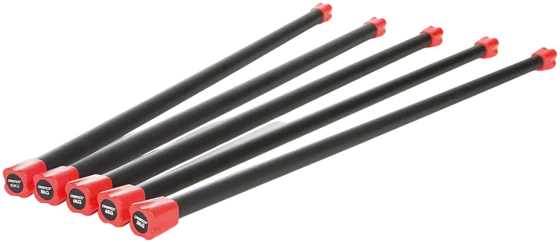 Аэробный гриф Gymstick 10 кг (цвет Черный, Красный)