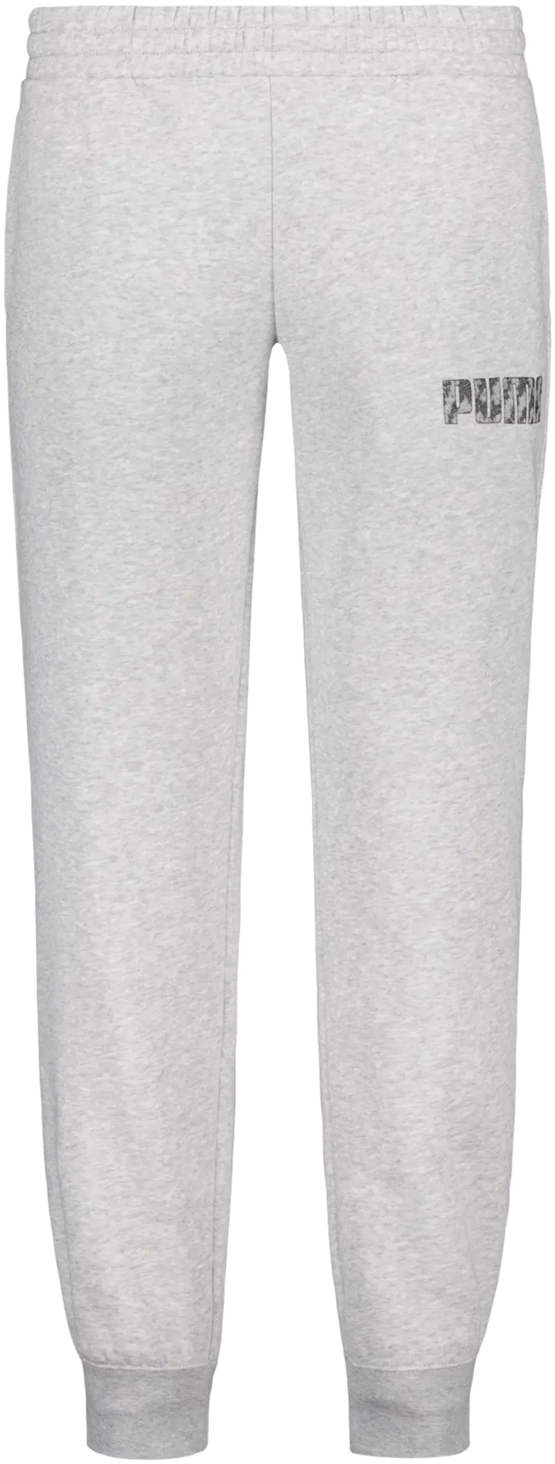 Женские спортивные штаны Puma Puma Pants 691914 04 (размер XS, цвет Светло-серый вереск)