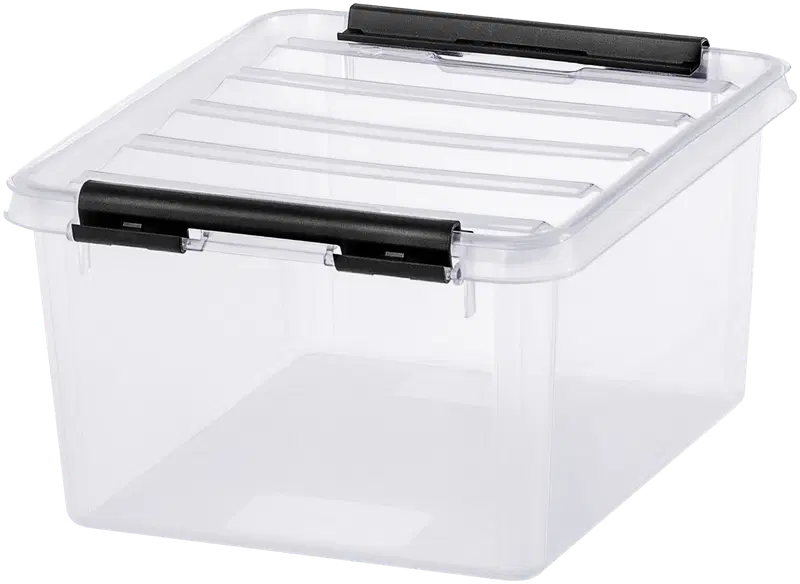 Ящик для хранения SmartStore Classic с крышкой 2 л, прозрачный (цвет Прозрачный)