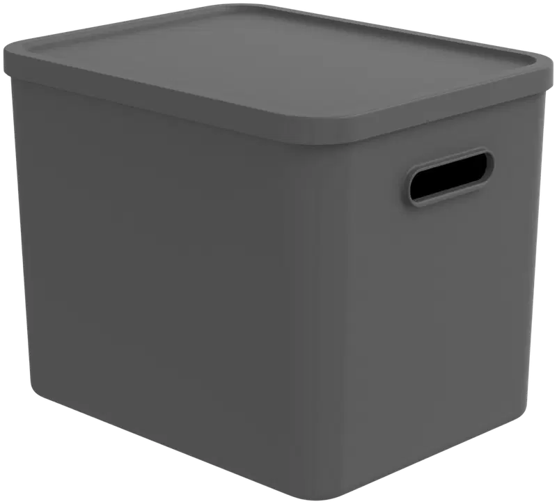 Ящик для хранения Rotho Albula Multibox 27 л C4 серый (цвет Антрацит)
