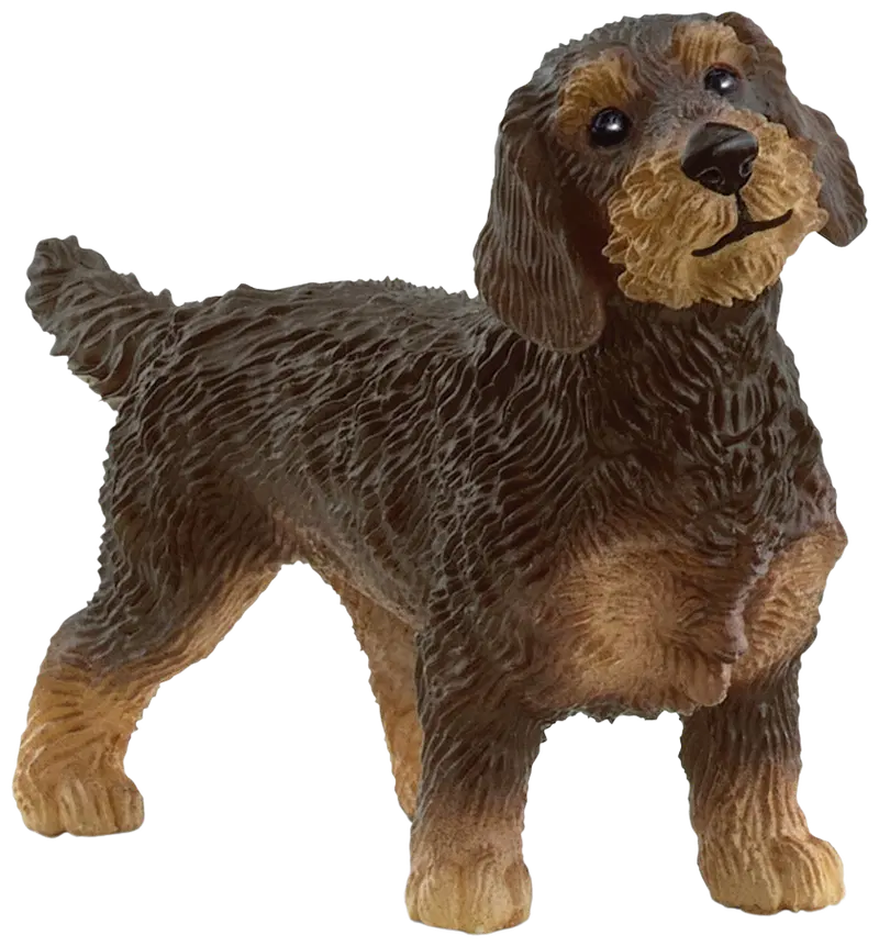 schleich® Такса жесткошерстная