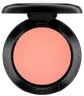 SHELL PEACH