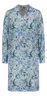 Blue aster