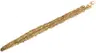 11 Mystic Gold