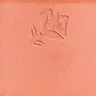03 Sorbet de corail