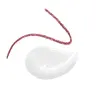 4 Transparent Gloss