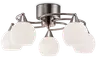Chrome