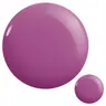8 Blueberry Burst