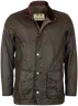 OL71 Olive