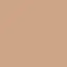 67 Warm Tan