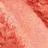08 Blush Corallina