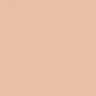 66 Warm Beige