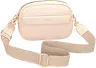 Scallop shell