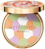 Multicolored Cool Rose