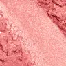12 Bella Bellini